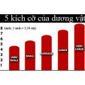 kích cỡ dương vật, dương vật bé